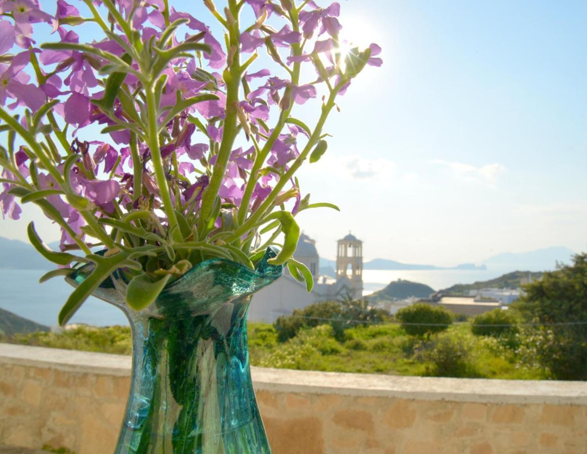 Villa De Viento Трипити Екстериор снимка